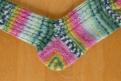 socks16