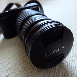 LUMIX DMC-GX7MK2K + LUMIX G VARIO 100-300mm/F4.0-5.6 II/POWER O.I.S. H-FSA100300