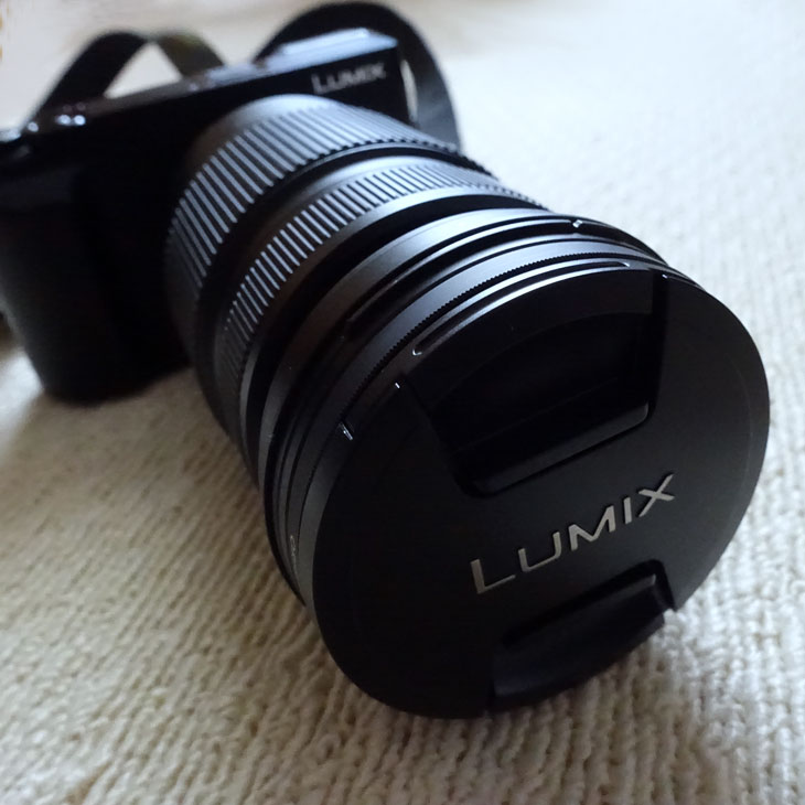 LUMIX DMC-GX7MK2K + LUMIX G VARIO 100-300mm/F4.0-5.6 II/POWER O.I.S. H-FSA100300　1