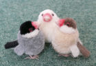 小鳥ぽんぽんの文鳥3羽作ってみた<br>(後編)