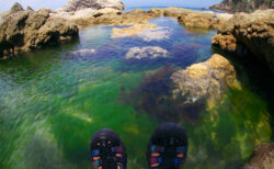 笹川流れ with KEEN